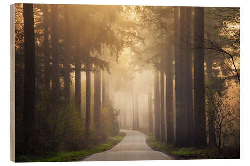 Holzbild Waldweg am Morgen