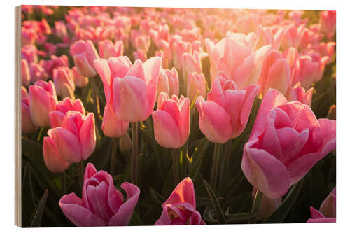 Tableau en bois Tulipes au lever du soleil