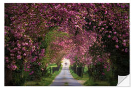 Naklejka na ścianę Cherry Blossom