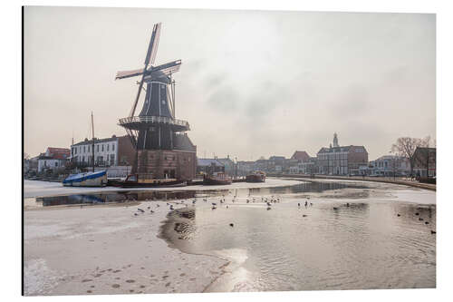 Aluminium print The Adriaan