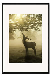 Gerahmter Kunstdruck Frühstück im Morgengrauen