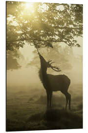 Magnettafel Frühstück im Morgengrauen