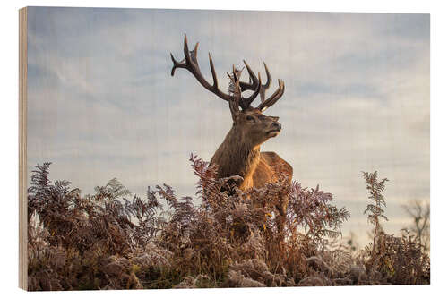 Wood print Royal deer portrait