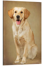 Magnettafel Golden Retriever