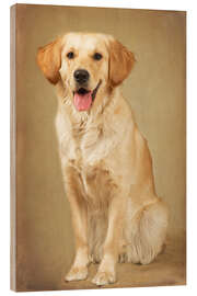 Wood print Golden retriever