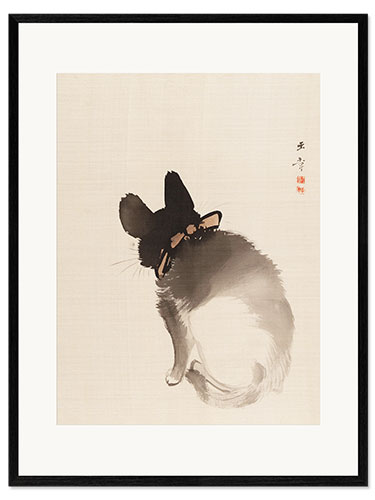 Impresión de arte enmarcada Gato visto desde atrás