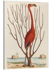 Magnettafel Flamingo