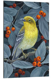 Aluminium print Pine Warbler