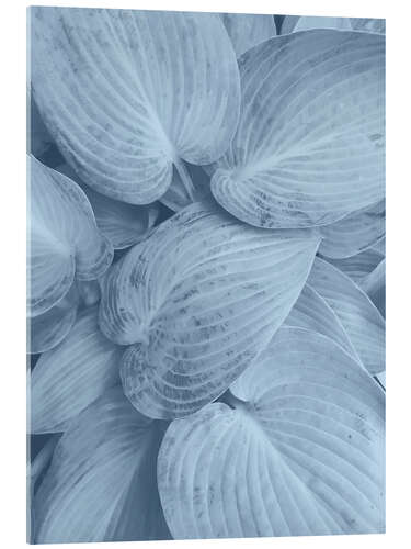 Acrylic print Blue leaves