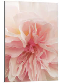 Magnettafel Pinke Rose