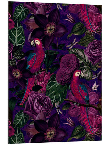 Aluminium print Midnight Parrots