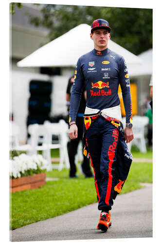 Acrylic print Max Verstappen, Red Bull Racing 2020