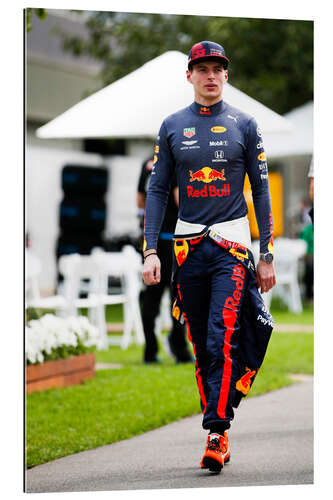 Gallery print Max Verstappen, Red Bull Racing 2020