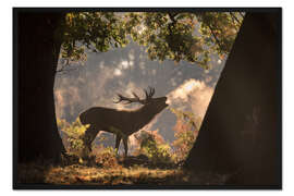 Gerahmter Kunstdruck Rotwildhirsch, der in der Brunftzeit ruft