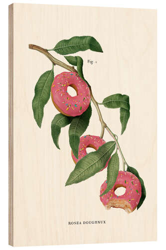 Trebilde Donut Plant