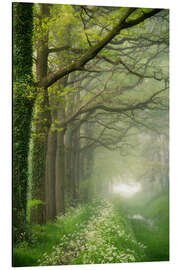 Aluminiumtavla Het Groene Woud, Nordbrabant