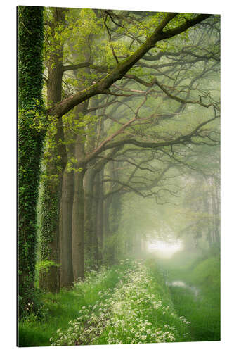 Galleriataulu Het Groene Woud, Nordbrabant