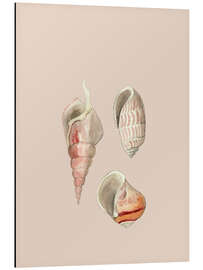 Aluminium print Shellfish