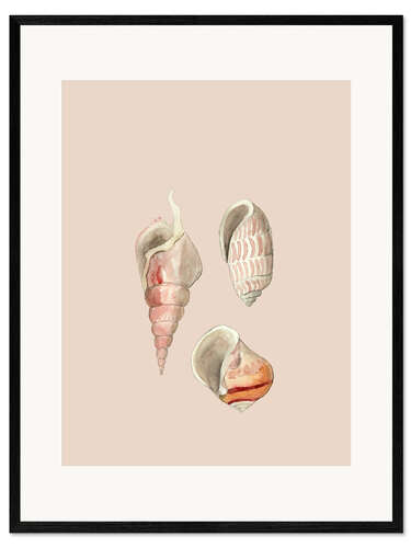 Framed art print Shellfish