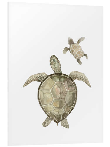 Foam board print Turtles