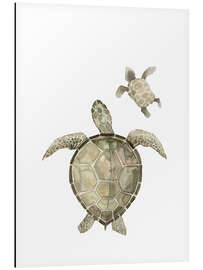 Magnettafel Schildkröten