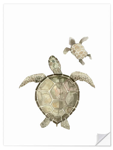 Naklejka na ścianę Turtles