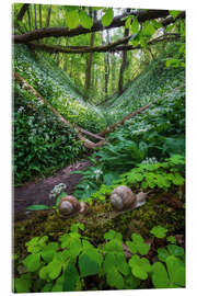 Acrylglasbild Schnecken in einem Wald voller Bärlauch