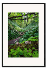 Gerahmter Kunstdruck Schnecken in einem Wald voller Bärlauch