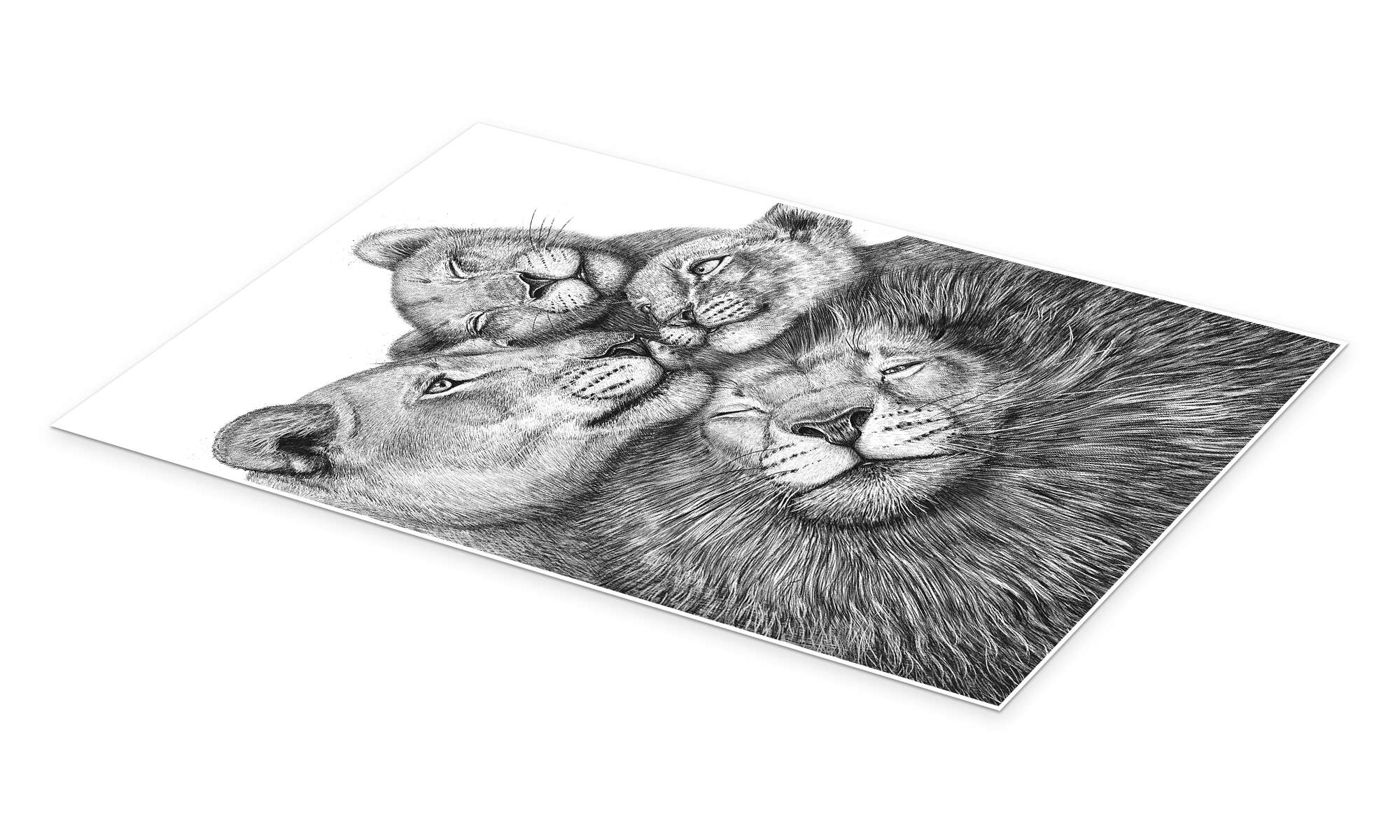 Wandbild „Löwenfamilie“ von Valeriya Korenkova | Posterlounge.ch, حجم الصورة 2000x1200