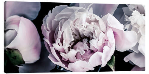 Canvas print Peonies in detail II