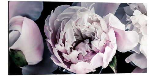 Galleriataulu Peonies in detail II