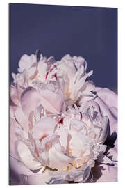 Gallery print Peonies in detail