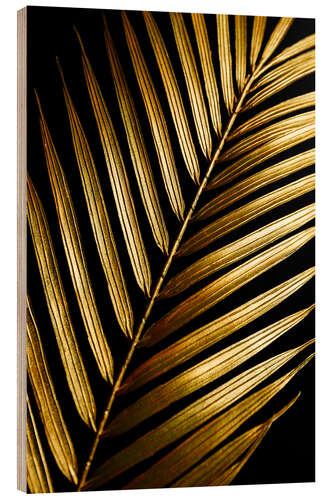 Wood print Golden palm leaf