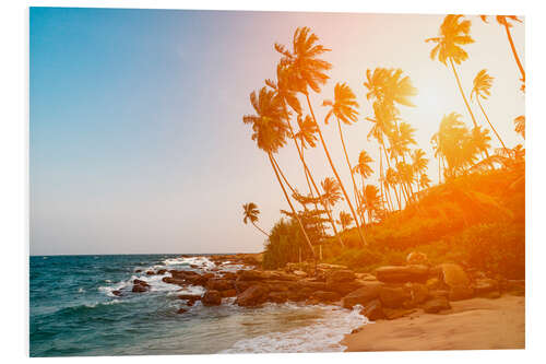 Foam board print Palm trees and sea in the sunset