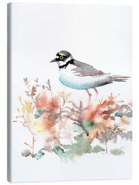 Canvas print Pastel colored plover