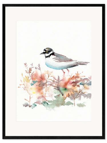 Plakat artystyczny premium w ramie Pastel colored plover