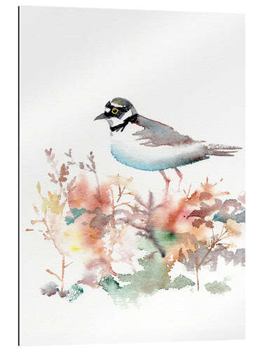 Gallery print Pastel colored plover