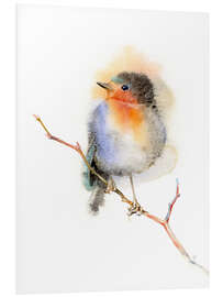 Foam board print Robin