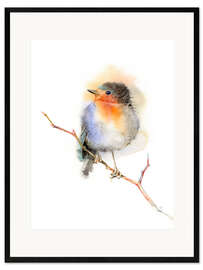 Kehystetty taidepainatus Robin