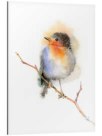 Magnettafel Rotkehlchen