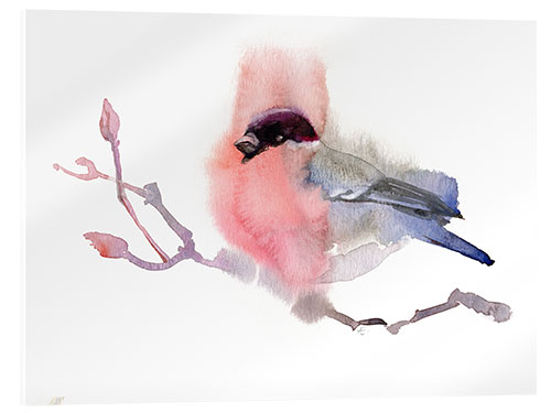 Cuadro de metacrilato Bullfinch