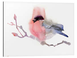 Magnettafel Dompfaff