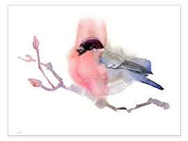 Kunstwerk  Bullfinch - Verbrugge Watercolor