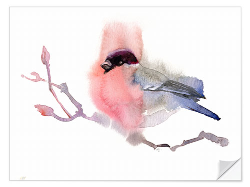 Wall sticker Bullfinch