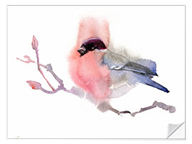 Wall sticker Bullfinch