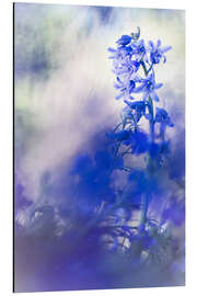 Magnettafel Hyazinthen in meinem Garten