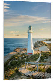 Magnettafel Castle Point Lighthouse bei Wellington, Neuseeland