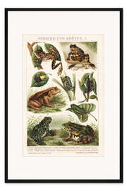 Gerahmter Kunstdruck Frösche und Kröten