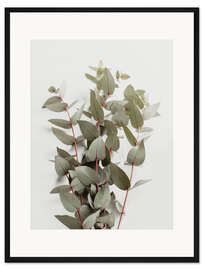 Gerahmter Kunstdruck Eukalyptus