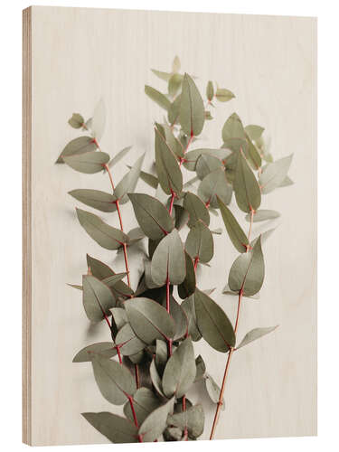 Wood print Eucalyptus